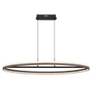 Globo DELLA 67179H1 LED závěsné stropní svítidlo | 60W LED | 2650lm