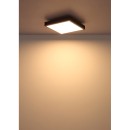 Globo DORO 416080AD1 LED přisazené stropní svítidlo | 12W LED | 600lm | 3000K