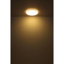 Globo GLB41261-24 LED přisazené stropní svítidlo ECLYPSE | 24W integrovaný LED zdroj | 2000lm | 3000K