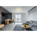 Globo 41315-12 LED stropní svítidlo Sajama 1x12W | 700lm | 3000K-4200K-6400K - třpytivý efekt, fixace barev, bílá
