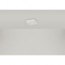 Globo 41606-9D LED stropnice Svenja 1x9W | 650lm | 3000K-4000K-6000K - stmívatelné, fixace barev, bílá, opál