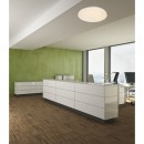 Globo 41625-30 LED stropní svítidlo Jana I 1x30W | 1260lm | 3000K - bílá