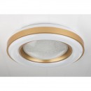Globo 41742-48RGB LED stropní svítidlo Colla 1x48W | 200-2000lm | 3000K-6500K | RGB - dálkový ovladač, stmívatelné, měnič barev, fixace barev, noční osvětlení, bílá