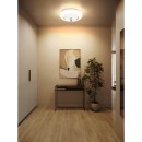 Globo 48071-18 LED přisazené stropní svítidlo GRAHAM | 24W integrovaný LED zdroj | 2038lm | 2700/4000/6000K | bílá