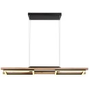 Globo 67266H LED závěsné stropní svítidlo Illa 1x30W | 1000lm | 3000K - opál, hnědá, černá