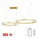 Immax NEO 07218L LED závěsné stropní svítidlo CANTO  | 60W integrovaný LED zdroj