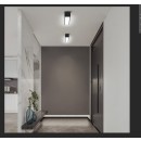 Immax NEO LITE 07254L LED přisazené stropní svítidlo LUNGO  | 20W integrovaný LED zdroj | 1520lm