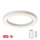 Immax NEO 07213L LED přisazené stropní svítidlo PASTEL | 52W integrovaný LED zdroj