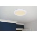 Globo 12379-24W LED stropní svítidlo Lasse 1x24W | 1900lm | 3000-4000-6500K - bílá