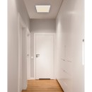 Globo 12380-24W LED stropní svítidlo Lasse 1x24W | 2100lm | 3000-4000-6500K - bílá, opál