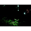 Globo LIGHTA 31919 LED příslušenství | 3W LED | 100lm | 55000K