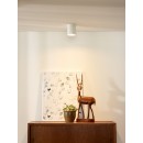 Lucide 09100/01/31 stropní svítidlo Bodi 1x50W|GU10