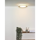 Lucide 79179/12/72 LED přisazené stropní svítidlo Dimy 1x12W | 960lm | 3000K