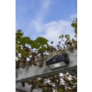 Lutec 6910601335 LED venkovní nástěnná solární lampa Arrow 1x2W | 150lm | 4000K | IP44 - s pohybovým senzorem