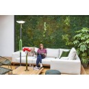 Lutec 6910802335 LED venkovní přenosná solární lampa Poppy 1x8W | 500lm | 3000K | IP54 - nevšední design, bluetooth reproduktor