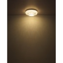 Globo GLB67162-50D LED přisazené stropní svítidlo MUCKY  | 50W integrovaný LED zdroj | 3965lm | 2700-6000K