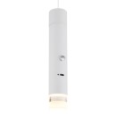 Globo 16060W LED závěsné stropní svítidlo PELO | 2W integrovaný LED zdroj | 60lm | 3000K | bílá