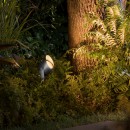 Philips Hue 17462/30/P7 LED venkovní bodové svítidlo Lily XL 1x15W | 1200lm | RGB - White and Color Ambiance