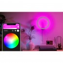 Philips Hue 40901/31/P7 LED nástěnné svítidlo Sana 1x20W | 1500lm | 2000-6500K | RGB - White and Color Ambiance