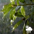 Philips Hue 8718699709853 LED venkovní pásek 5m 1x40W | RGB - White and Color Ambiance + trafo