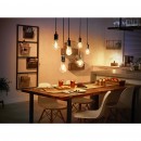 Philips Hue 8719514279131 LED designová žárovka 1x7W | 1xE27 | 550lm | 2100K - Globe, Bluetooth, Teplá bílá