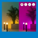 Philips WiZ 8720169071797 LED startovací sada Elpas Bollard | 4,8W integrovaný LED zdroj | 320 lm | 2700-5000K