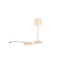 Trio TR54096166 LED stolní lampička FERNANDEZ | 1,5W integrovaný LED zdroj