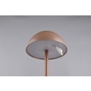 Trio TR54106165 LED stolní lampička RICARDO | 1,7W integrovaný LED zdroj