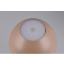 Trio TR54106165 LED stolní lampička RICARDO | 1,7W integrovaný LED zdroj