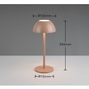 Trio TR54106165 LED stolní lampička RICARDO | 1,7W integrovaný LED zdroj