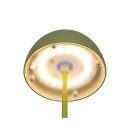 Trio TR55601115 LED stolní lampička ORTIZ | 2W integrovaný LED zdroj