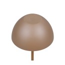 Trio TR55601165 LED stolní lampička ORTIZ | 2W integrovaný LED zdroj