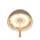 Trio TR55601165 LED stolní lampička ORTIZ | 2W integrovaný LED zdroj