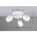 Trio TR61573331 bodové stropní svítidlo BIDAR E14