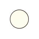 Trio R64381032 LED přisazené stropní svítidlo Scott | 30W integrovaný LED zdroj | 3600 lm | 3000-6500K