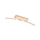 Trio TR65791166 LED přisazené stropní svítidlo GINKO | 18W integrovaný LED zdroj
