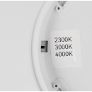 Trio R65891932 LED přisazené stropní svítidlo DRACO | 30W integrovaný LED zdroj | 4000lm | 2300+3000+4000K | Trio - SwitchDimmer