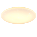 Trio TR65941101 LED přisazené stropní svítidlo NANDO | 42W integrovaný LED zdroj | 1x5200lm | 2700+4000+6000K | Trio - SwitchDimmer | bílá