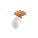 Trio R81111030 nástěnné svítidlo Assam 1x25W | E14 - dřevo, bílá
