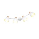 Trio TR81924031 bodové stropní svítidlo VALENTIN E14