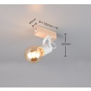 Trio R86661031 bodové nástěnné svítidlo LYNAR | 10W E27