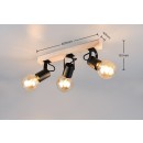 Trio R86663032 bodové stropní svítidlo LYNAR | 10W E27