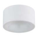 Globo RAYMOND 56964W LED stropnice | 12W LED | 900lm | 3000K