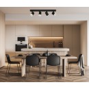 Italux SPL-31991-4B-BK LED bodové stropní svítidlo Helvia | 4x5W integrovaný LED zdroj | 4000K