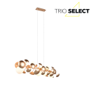 Trio SELECT  T317401079 závěsné stropní svítidlo BUBBLE   G9