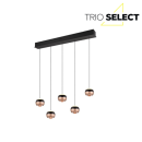 Trio SELECT  T344410532 LED závěsné stropní svítidlo ORBIT   | 5x8W integrovaný LED zdroj | 5x960lm | 2300+3000+4000K
