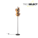 Trio SELECT T417400742 stojací lampa BUBBLE G9