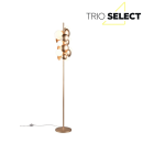 Trio SELECT  T417400779 stojací lampa BUBBLE   G9