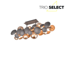 Trio SELECT  T617400842 přisazené stropní svítidlo BUBBLE   G9