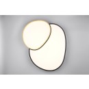 Trio T647519280 LED přisazené stropní svítidlo RISE | 45W integrovaný LED zdroj | 5300lm | 2700-6500K